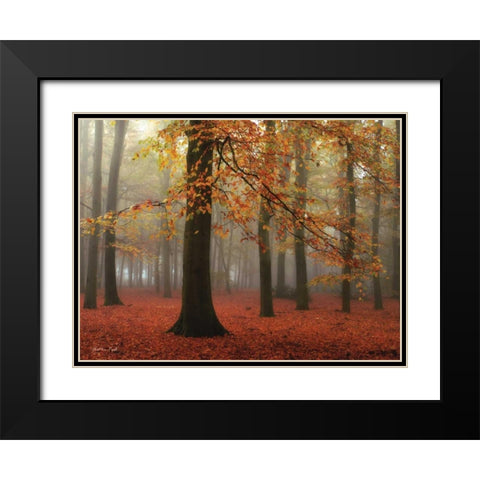 Miss Misty Black Modern Wood Framed Art Print with Double Matting by Podt, Martin