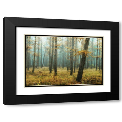 Holterberg in the Mist Black Modern Wood Framed Art Print with Double Matting by Podt, Martin