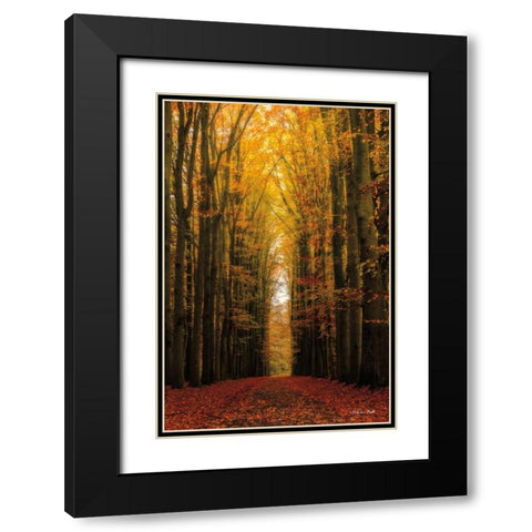 Highway to Heaven Black Modern Wood Framed Art Print with Double Matting by Podt, Martin
