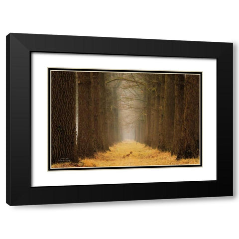 Yellow Path Black Modern Wood Framed Art Print with Double Matting by Podt, Martin