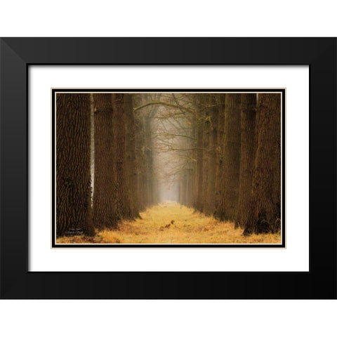 Yellow Path Black Modern Wood Framed Art Print with Double Matting by Podt, Martin