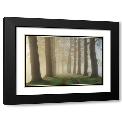 Lights Shine Bright Black Modern Wood Framed Art Print with Double Matting by Podt, Martin