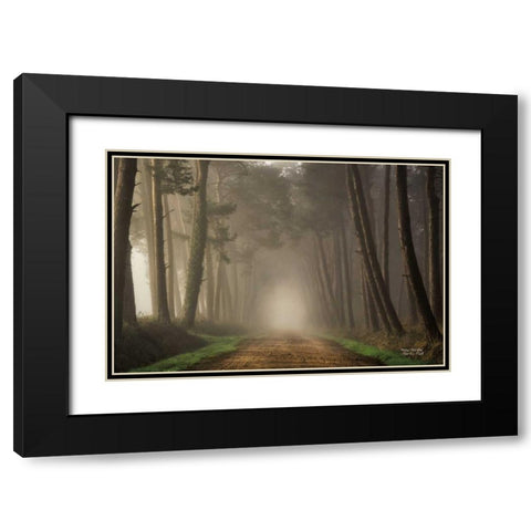 Misty Morning Black Modern Wood Framed Art Print with Double Matting by Podt, Martin