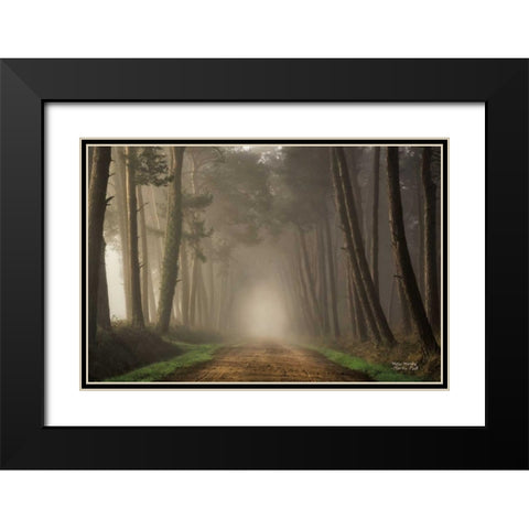 Misty Morning Black Modern Wood Framed Art Print with Double Matting by Podt, Martin