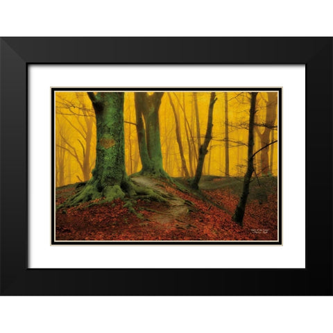 Heart of the Forest Black Modern Wood Framed Art Print with Double Matting by Podt, Martin