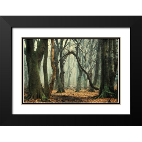 Broken Black Modern Wood Framed Art Print with Double Matting by Podt, Martin
