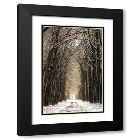 Winter Black Modern Wood Framed Art Print with Double Matting by Podt, Martin