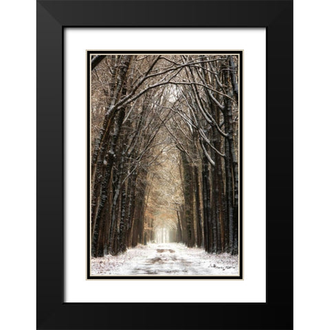 Winter Black Modern Wood Framed Art Print with Double Matting by Podt, Martin