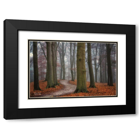 Autumn Path Black Modern Wood Framed Art Print with Double Matting by Podt, Martin