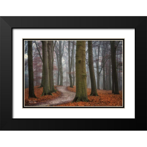 Autumn Path Black Modern Wood Framed Art Print with Double Matting by Podt, Martin