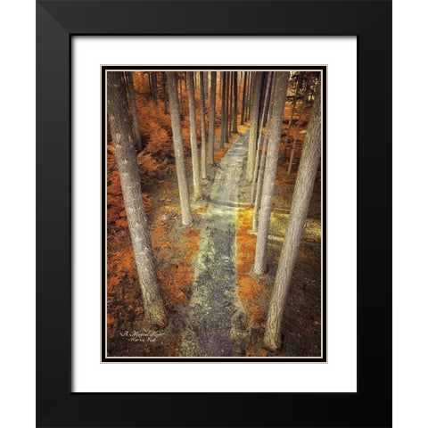 A Magical Flight Black Modern Wood Framed Art Print with Double Matting by Podt, Martin