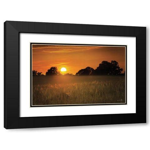 Fields of Gold Black Modern Wood Framed Art Print with Double Matting by Podt, Martin