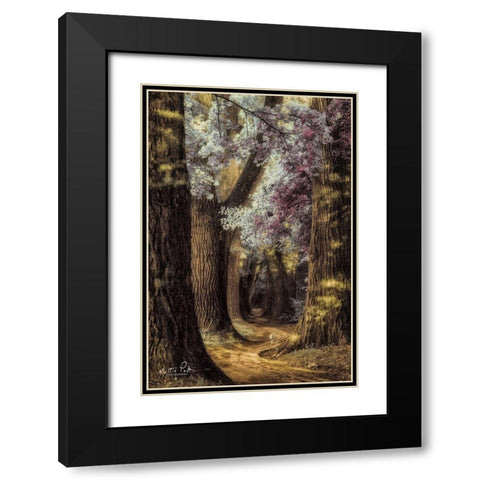 Fluffy Road Black Modern Wood Framed Art Print with Double Matting by Podt, Martin