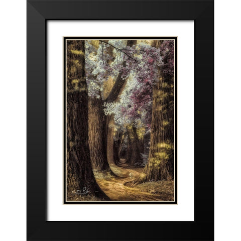 Fluffy Road Black Modern Wood Framed Art Print with Double Matting by Podt, Martin
