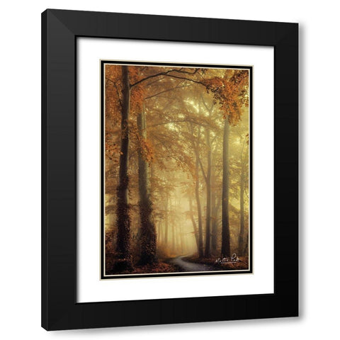 The Path of Liberation Black Modern Wood Framed Art Print with Double Matting by Podt, Martin