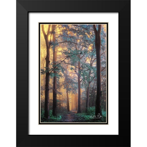 Wonderland Black Modern Wood Framed Art Print with Double Matting by Podt, Martin