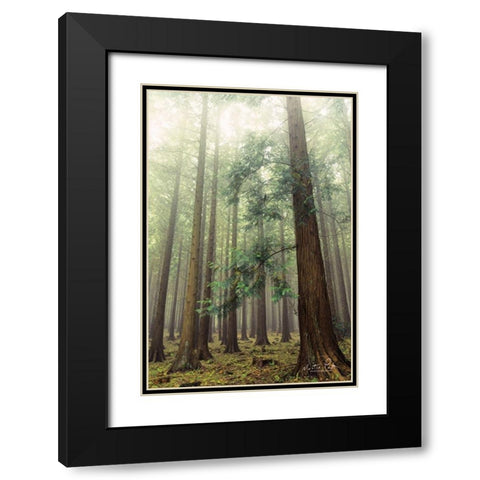 The Friendly Giants Black Modern Wood Framed Art Print with Double Matting by Podt, Martin