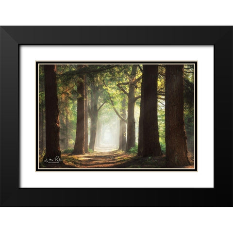 Fresh Green Forest Black Modern Wood Framed Art Print with Double Matting by Podt, Martin