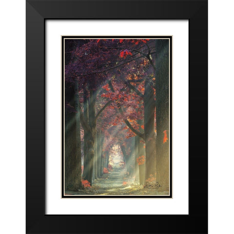 Path of Happiness Black Modern Wood Framed Art Print with Double Matting by Podt, Martin