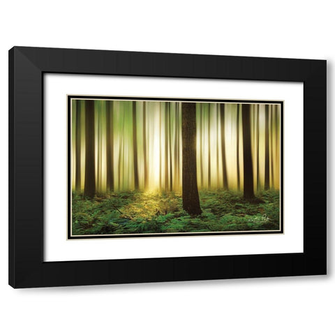 Forest in Motion Black Modern Wood Framed Art Print with Double Matting by Podt, Martin
