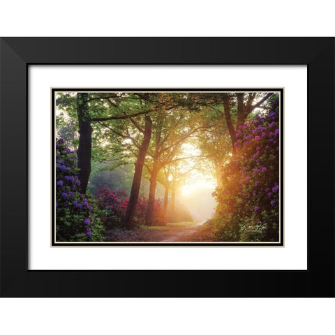 Color Overdose Black Modern Wood Framed Art Print with Double Matting by Podt, Martin