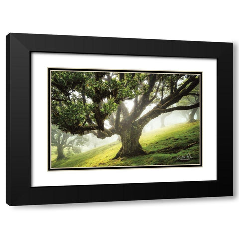 King of the Forest     Black Modern Wood Framed Art Print with Double Matting by Podt, Martin