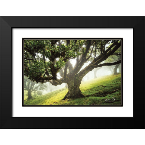 King of the Forest     Black Modern Wood Framed Art Print with Double Matting by Podt, Martin