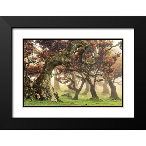 Fanal Black Modern Wood Framed Art Print with Double Matting by Podt, Martin