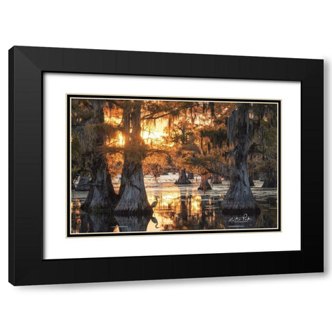 Sunset in the Swamps Black Modern Wood Framed Art Print with Double Matting by Podt, Martin