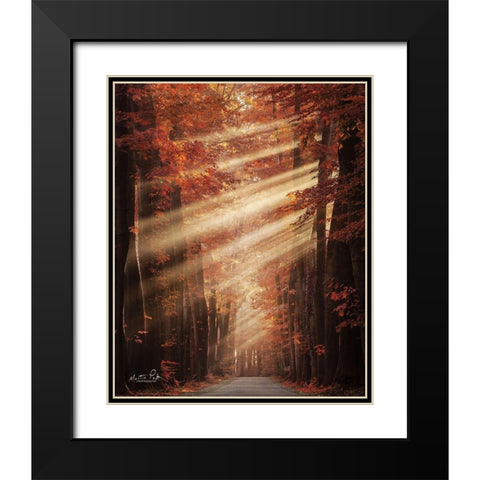 Ladies in Red Black Modern Wood Framed Art Print with Double Matting by Podt, Martin