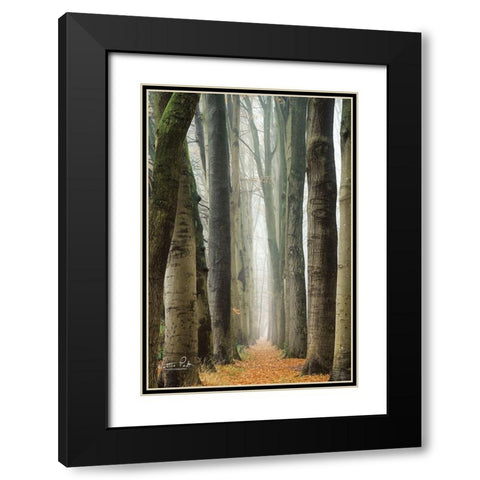 Narrow Alley in the Netherlands     Black Modern Wood Framed Art Print with Double Matting by Podt, Martin