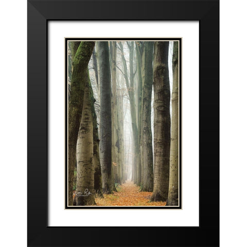 Narrow Alley in the Netherlands     Black Modern Wood Framed Art Print with Double Matting by Podt, Martin