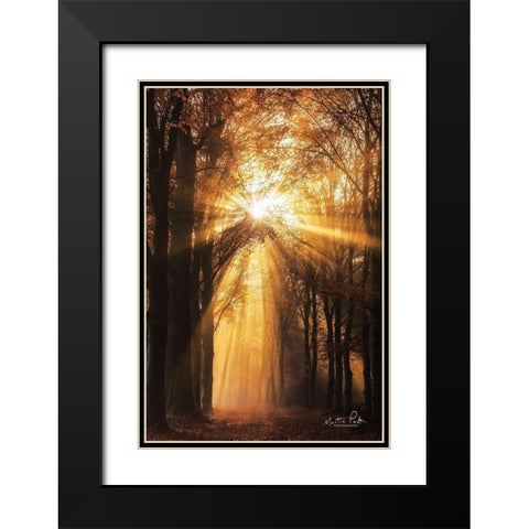 Sunburst     Black Modern Wood Framed Art Print with Double Matting by Podt, Martin