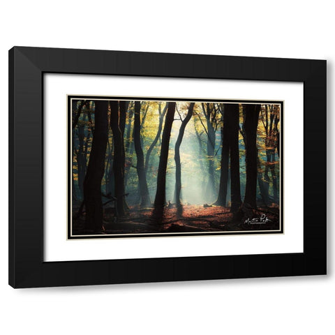 Forest Blues Black Modern Wood Framed Art Print with Double Matting by Podt, Martin