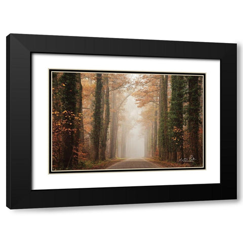 Foggy Autumn Road   Black Modern Wood Framed Art Print with Double Matting by Podt, Martin