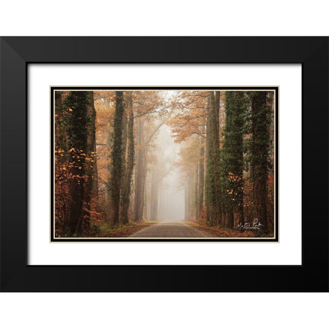 Foggy Autumn Road   Black Modern Wood Framed Art Print with Double Matting by Podt, Martin