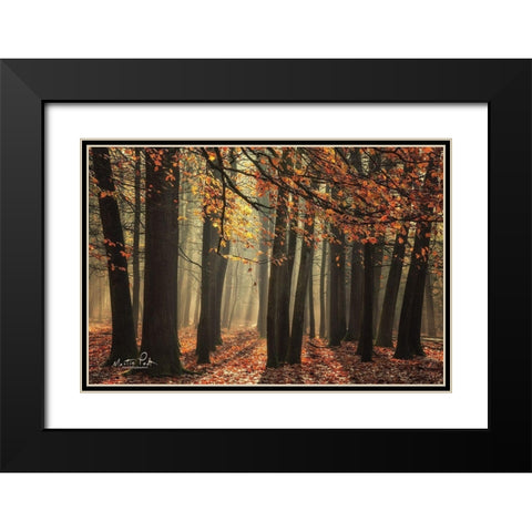 Bunch of Trees Black Modern Wood Framed Art Print with Double Matting by Podt, Martin