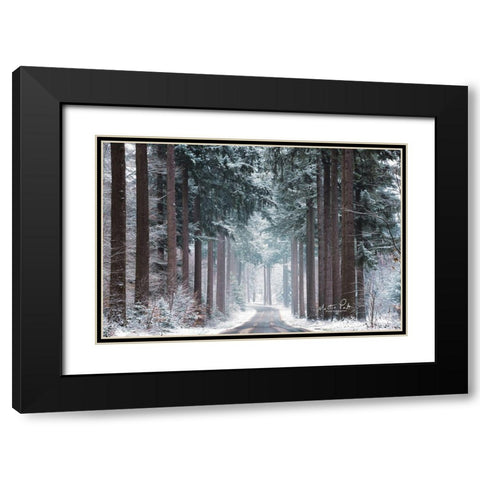 Pines in Winter Dress Black Modern Wood Framed Art Print with Double Matting by Podt, Martin