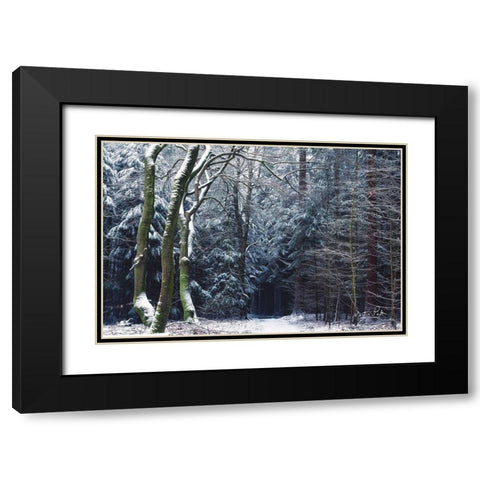Gate to the Dark World Black Modern Wood Framed Art Print with Double Matting by Podt, Martin