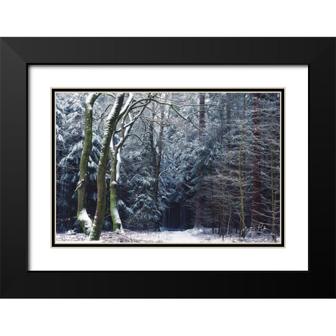 Gate to the Dark World Black Modern Wood Framed Art Print with Double Matting by Podt, Martin