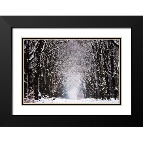 Winter Tunnel Black Modern Wood Framed Art Print with Double Matting by Podt, Martin