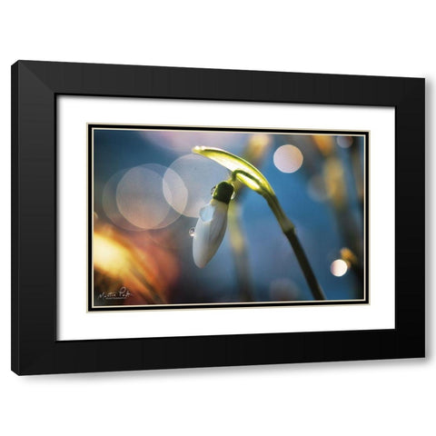 Snowdrops IV Black Modern Wood Framed Art Print with Double Matting by Podt, Martin