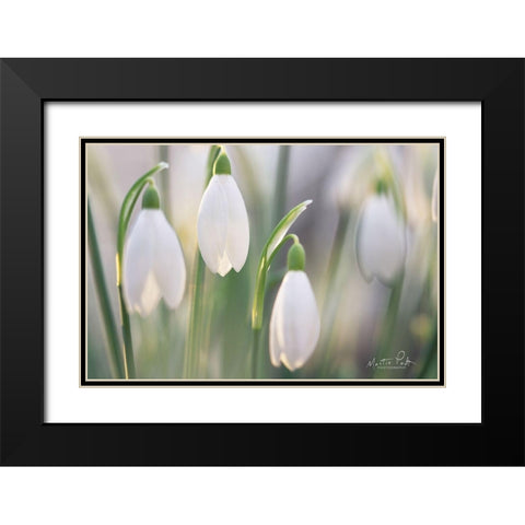 Delicate Black Modern Wood Framed Art Print with Double Matting by Podt, Martin