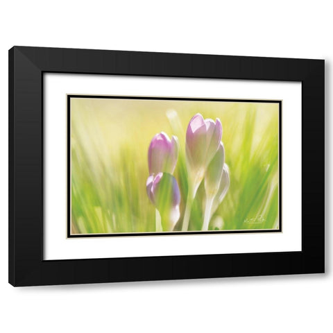 Soft Crocus Black Modern Wood Framed Art Print with Double Matting by Podt, Martin