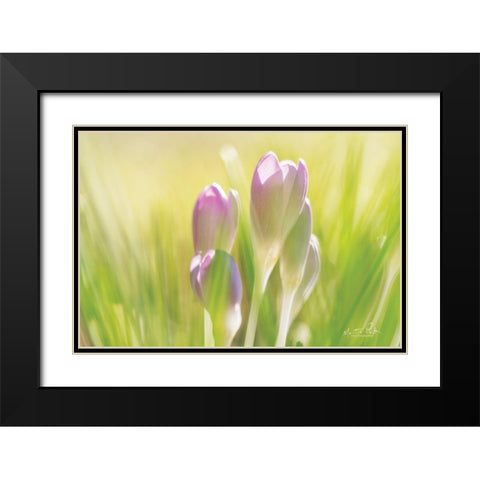 Soft Crocus Black Modern Wood Framed Art Print with Double Matting by Podt, Martin