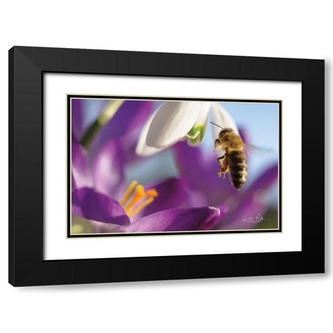 Bee I Black Modern Wood Framed Art Print with Double Matting by Podt, Martin