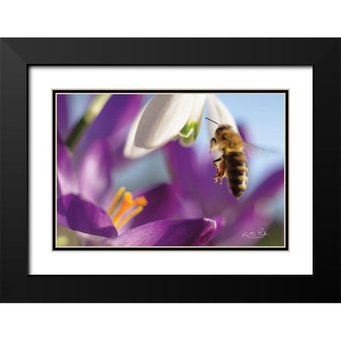 Bee I Black Modern Wood Framed Art Print with Double Matting by Podt, Martin