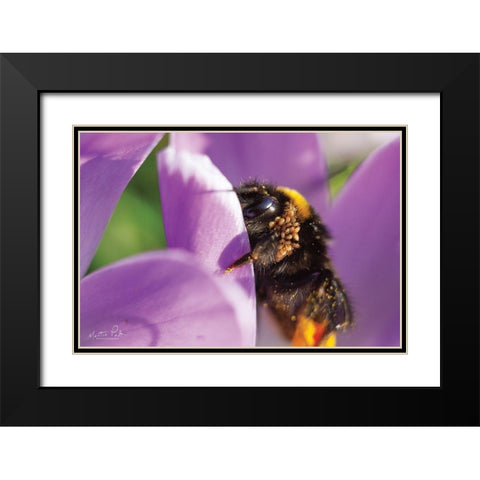 Bee II Black Modern Wood Framed Art Print with Double Matting by Podt, Martin