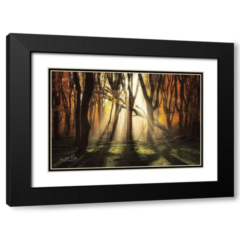 The Awakening Black Modern Wood Framed Art Print with Double Matting by Podt, Martin