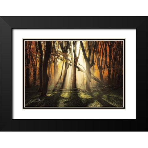 The Awakening Black Modern Wood Framed Art Print with Double Matting by Podt, Martin